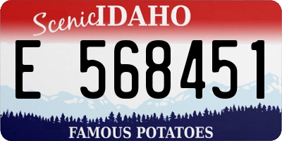 ID license plate E568451