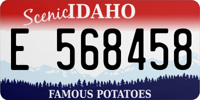 ID license plate E568458