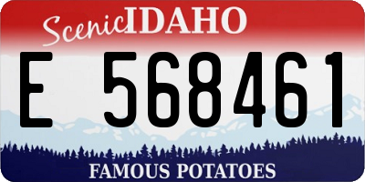 ID license plate E568461