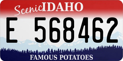 ID license plate E568462