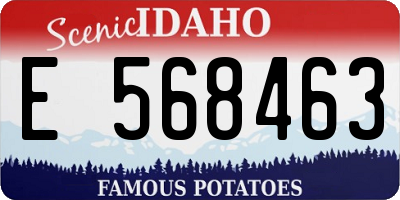 ID license plate E568463