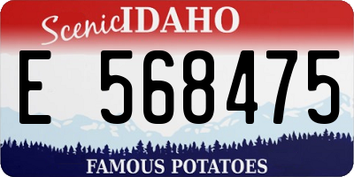 ID license plate E568475