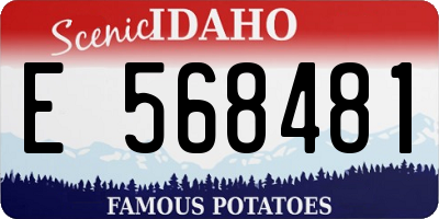 ID license plate E568481