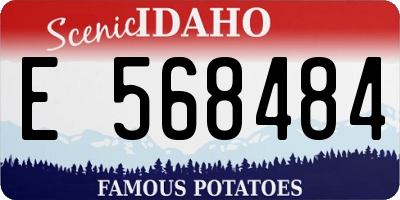 ID license plate E568484