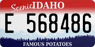 ID license plate E568486