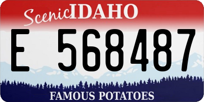 ID license plate E568487