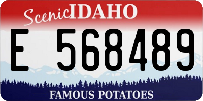 ID license plate E568489