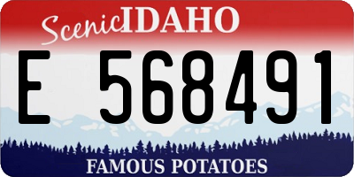 ID license plate E568491