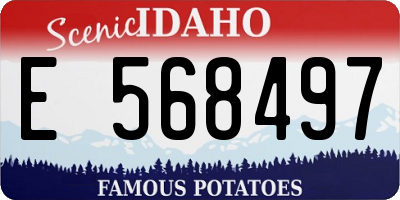 ID license plate E568497