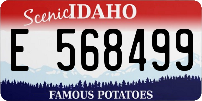 ID license plate E568499