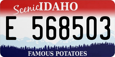 ID license plate E568503