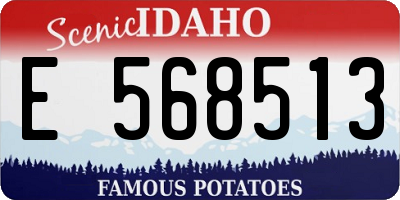ID license plate E568513