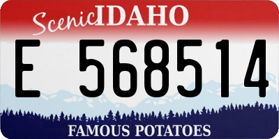 ID license plate E568514