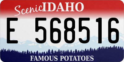 ID license plate E568516