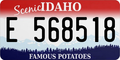 ID license plate E568518