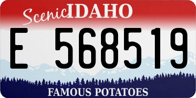 ID license plate E568519