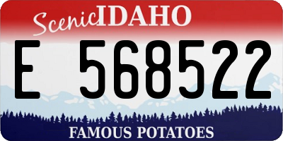 ID license plate E568522