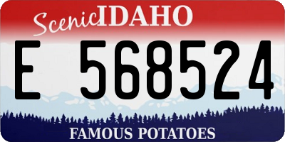 ID license plate E568524