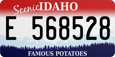 ID license plate E568528