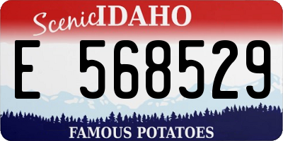 ID license plate E568529
