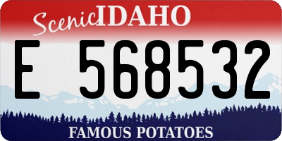 ID license plate E568532