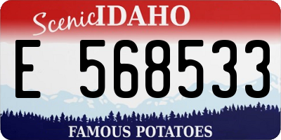ID license plate E568533
