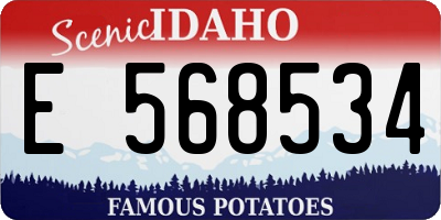 ID license plate E568534