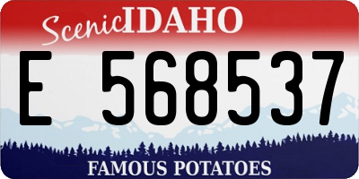 ID license plate E568537