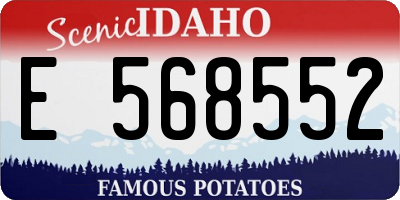 ID license plate E568552