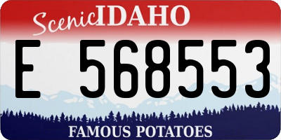 ID license plate E568553