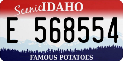 ID license plate E568554