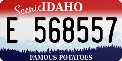 ID license plate E568557