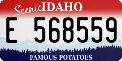 ID license plate E568559