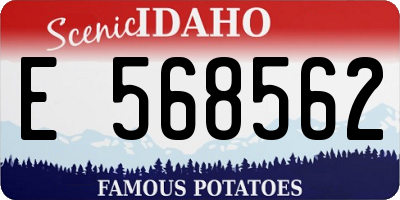 ID license plate E568562