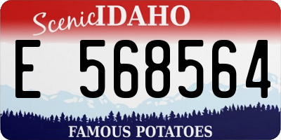 ID license plate E568564