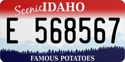 ID license plate E568567