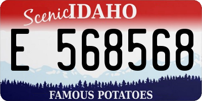ID license plate E568568