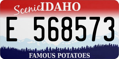 ID license plate E568573