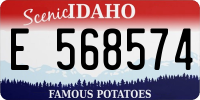 ID license plate E568574