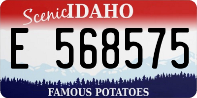 ID license plate E568575