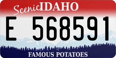 ID license plate E568591