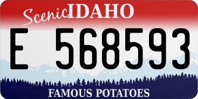 ID license plate E568593
