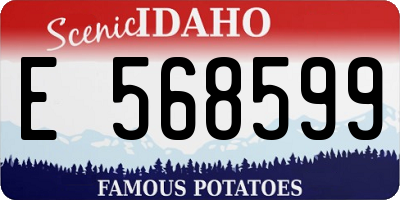 ID license plate E568599