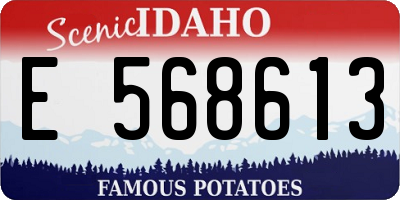 ID license plate E568613