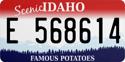 ID license plate E568614