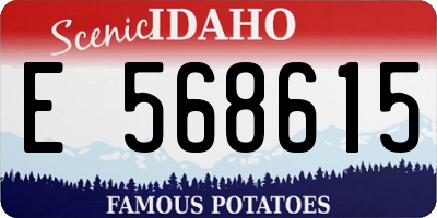 ID license plate E568615