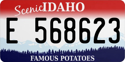 ID license plate E568623