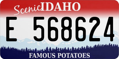 ID license plate E568624