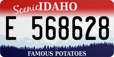 ID license plate E568628