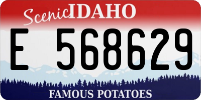 ID license plate E568629